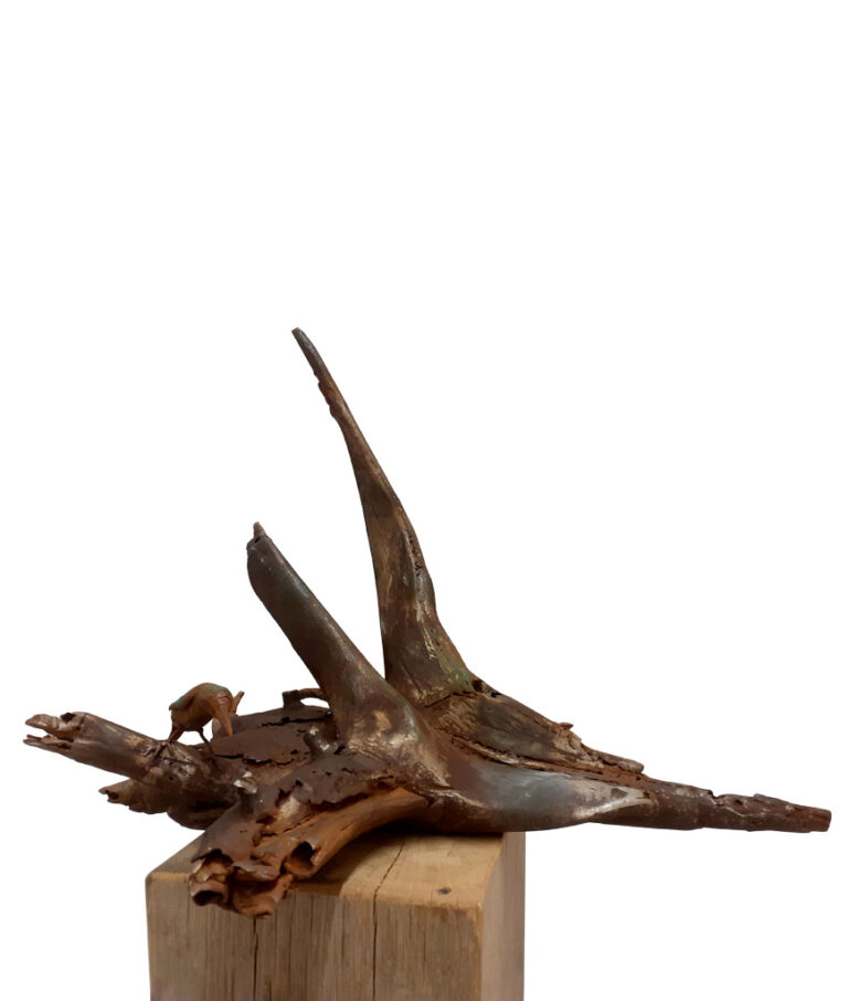Moeselpeel